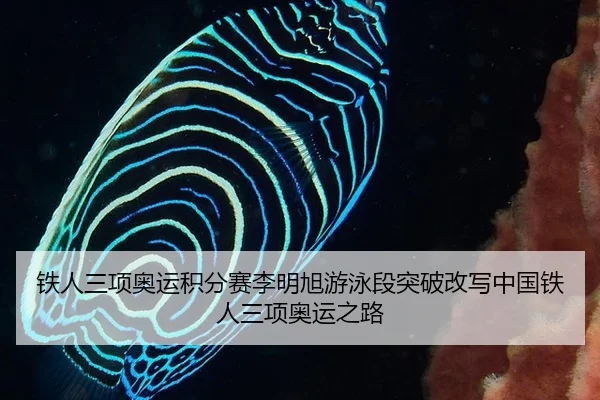 铁人三项奥运积分赛李明旭游泳段突破改写中国铁人三项奥运之路
